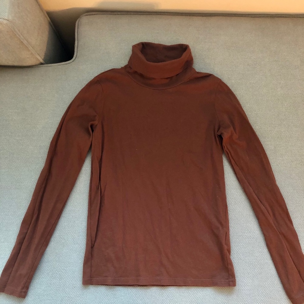 Everlane The Organic Cotton Turtleneck